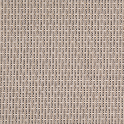 D4999 Stone