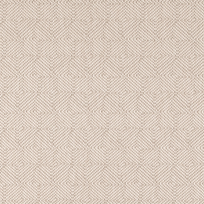 D5023 Bone