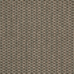D5129 Oasis