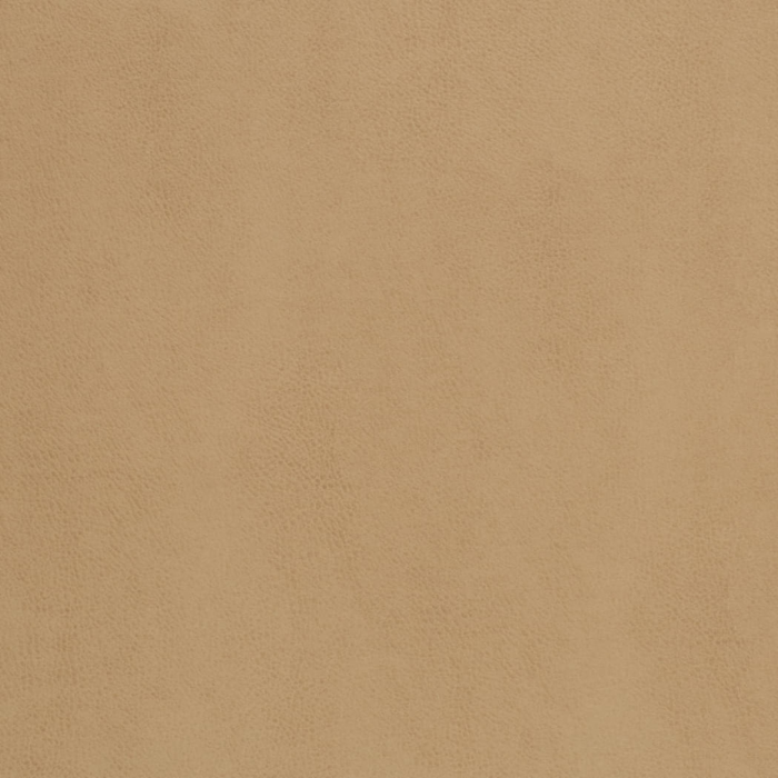 Z500 Tan